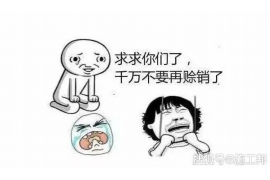 维扬融资清欠服务